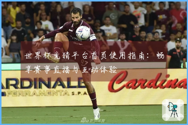 世界杯竞猜平台首页使用指南：畅享赛事直播与互动体验