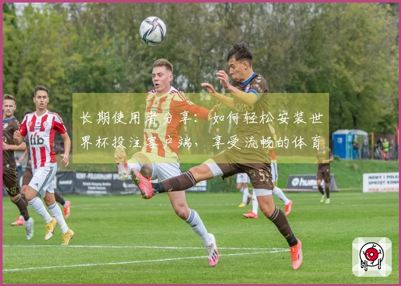 长期使用者分享：如何轻松安装世界杯投注客户端，享受流畅的体育直播体验
