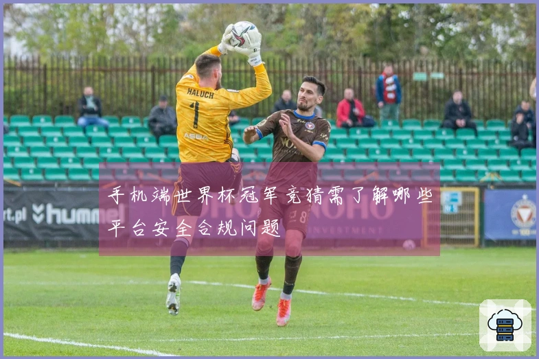 手机端世界杯冠军竞猜需了解哪些平台安全合规问题