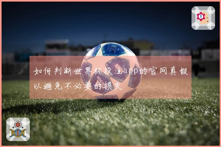 如何判断世界杯投注app的官网真假以避免不必要的损失