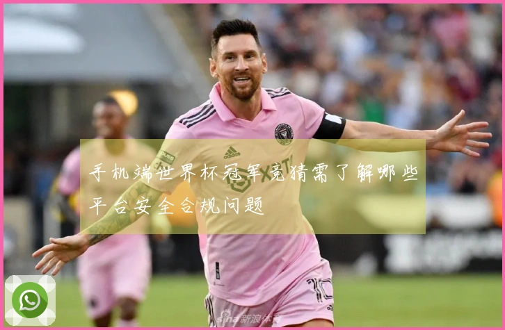 手机端世界杯冠军竞猜需了解哪些平台安全合规问题
