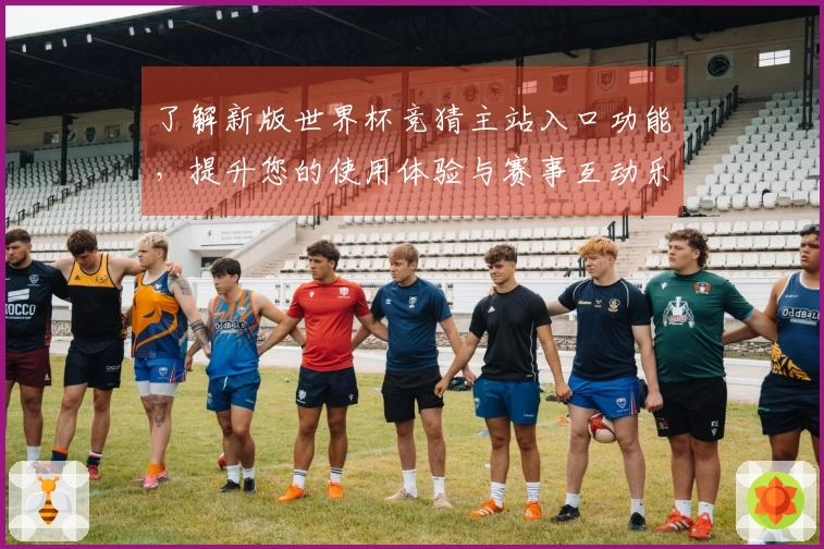 了解新版世界杯竞猜主站入口功能，提升您的使用体验与赛事互动乐趣