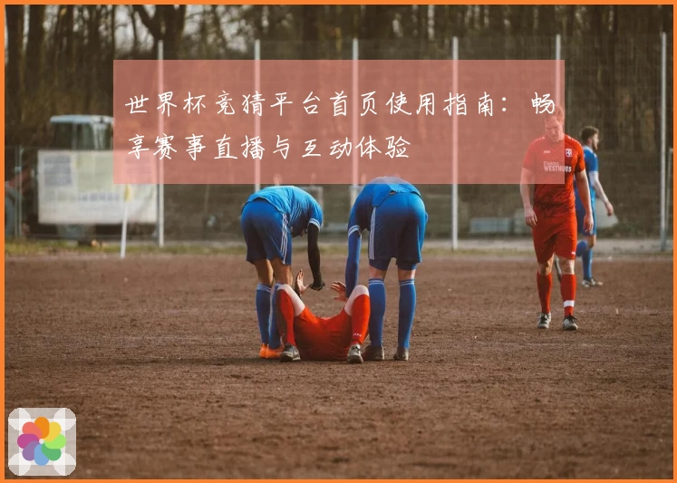 世界杯竞猜平台首页使用指南：畅享赛事直播与互动体验