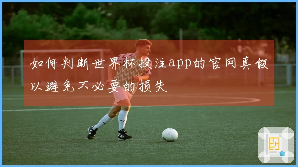 如何判断世界杯投注app的官网真假以避免不必要的损失