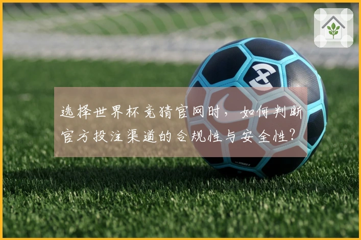 选择世界杯竞猜官网时，如何判断官方投注渠道的合规性与安全性？