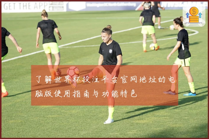 了解世界杯投注平台官网地址的电脑版使用指南与功能特色
